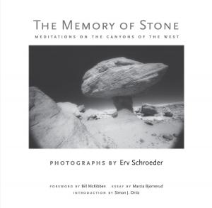 bigCover of the book The Memory of Stone by 