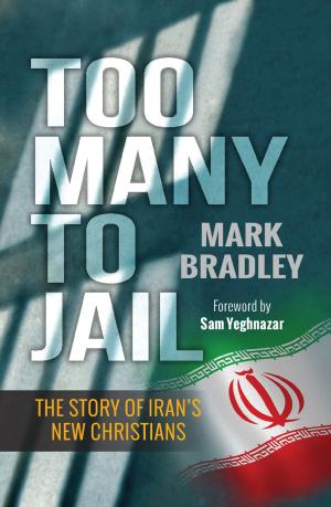Cover of the book Too Many to Jail by Margaret Silf