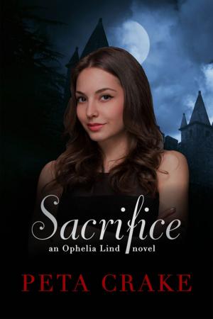 Cover of the book Sacrifice by Väinö Linna