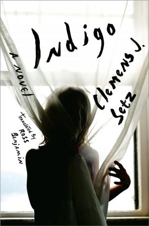 Cover of the book Indigo: A Novel by Linsey Lanier