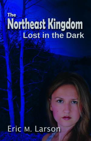 Cover of the book The Northeast Kingdom by Jamie Grefe