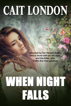Cover of the book When Night Falls by Christine Chianti