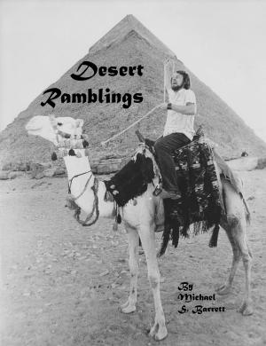 Cover of the book Desert Ramblings by Ana Hogas & Ionut Florea