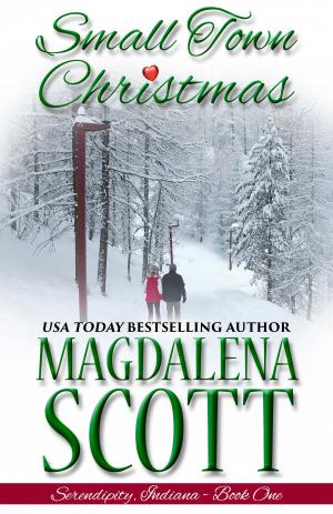 Book cover of Small Town Christmas