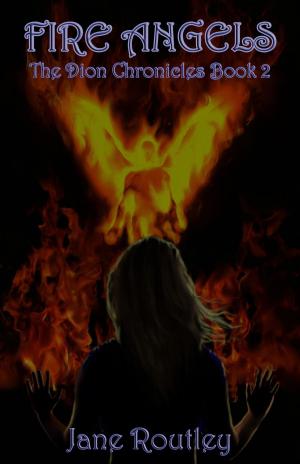 Cover of the book Fire Angels by Heather Garside