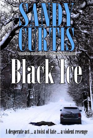 Cover of the book Black Ice by 