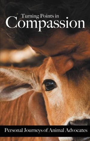 Cover of the book Turning Points in Compassion by J.N. PAQUET