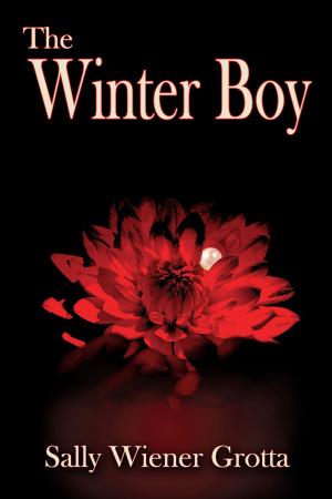 Cover of The Winter Boy