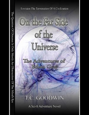 Book cover of On the Far Side of the Universe: The Adventures of Ethan Gray