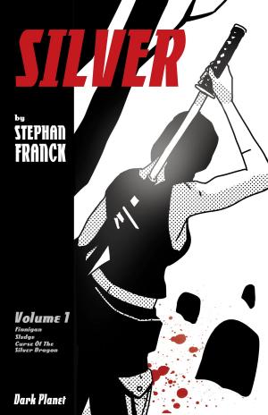 Cover of the book Silver by J C Steel