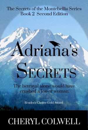 Book cover of Adriana's Secrets
