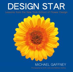 Book cover of Design Star