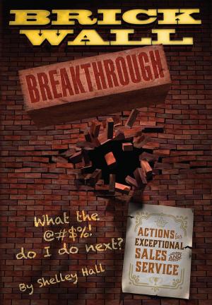 Cover of the book Brick Wall Breakthrough. What The !@#$ Do I Do Next? : Actions for Exceptional Sales & Service. by Janne Ohtonen