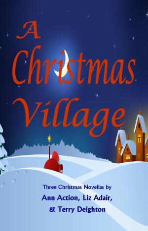 Cover of the book A Christmas Village by Michael J. Sullivan