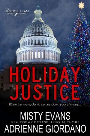 Cover of the book Holiday Justice by K. D. McAdams