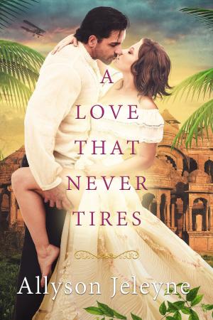 Cover of the book A Love That Never Tires by Jan Krupa