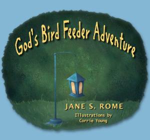Cover of the book God's Bird Feeder Adventure by David Judson
