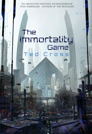 Cover of the book The Immortality Game by David J. Thirteen