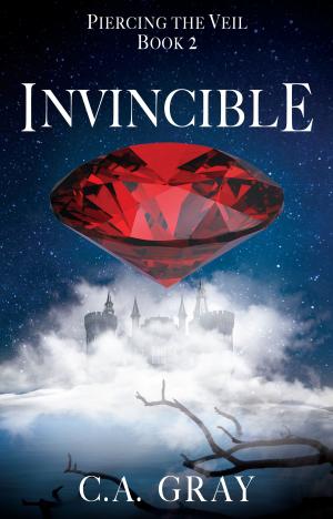 Book cover of Invincible: Piercing the Veil, Book 2