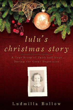 Cover of the book Lulu's Christmas Story by Richard Crystal, Kareem Abdul-Jabbar