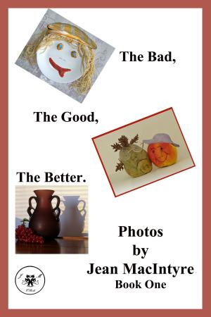 Cover of the book The Bad, The Good, The Better by Jean MacIntyre