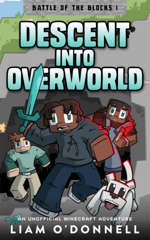 Book cover of Descent into Overworld