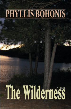 bigCover of the book The Wilderness by 