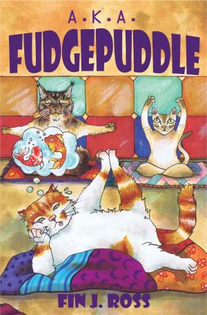 Cover of the book A.K.A. Fudgepuddle by Heather Garside