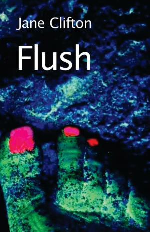 Cover of the book Flush by David Greagg