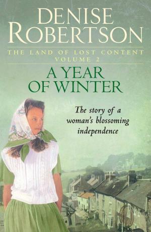 Cover of the book A Year of Winter by Denise Robertson