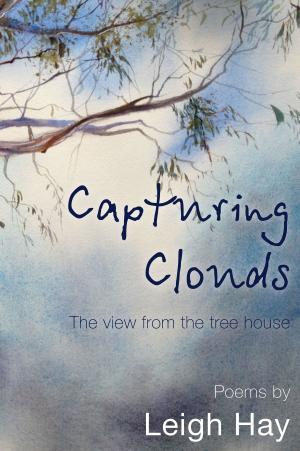 Book cover of Capturing Clouds