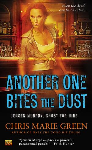 Cover of the book Another One Bites the Dust by Anton Strout