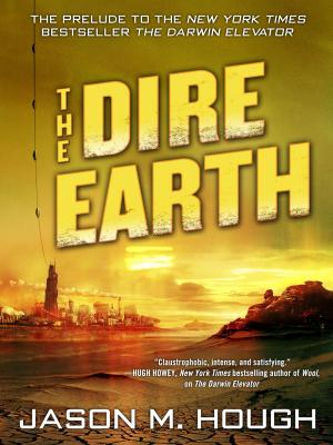 Cover of the book The Dire Earth: A Novella by R.L. Dean