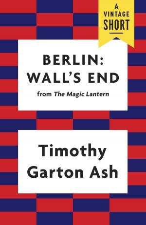 Cover of the book Berlin: Wall's End by C.D.B. Bryan