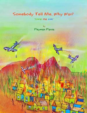 Cover of the book Somebody Tell Me, Why War? by Tina Long