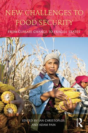 Cover of the book New Challenges to Food Security by José Luiz de Andrade Franco, José Augusto Drummond