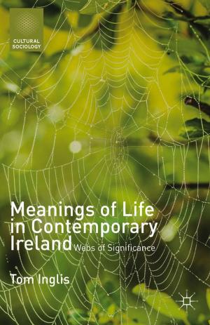 Cover of the book Meanings of Life in Contemporary Ireland by C. Çakmak, M. Ustaoglu, Murat Ustao?lu