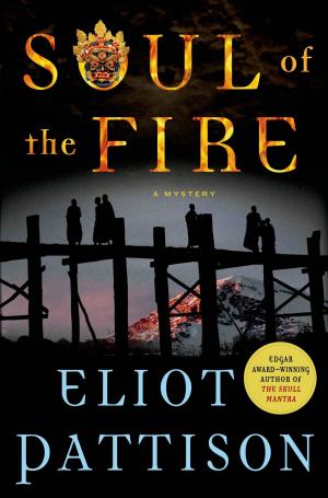 Cover of the book Soul of the Fire by Mary Saums