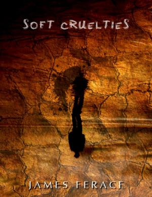 Cover of the book Soft Cruelties by Victoria I. Odoma