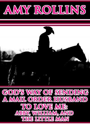 Book cover of God's Way Of Sending A Mail Order Husband To Love Me: Abby, William, And The Little Man