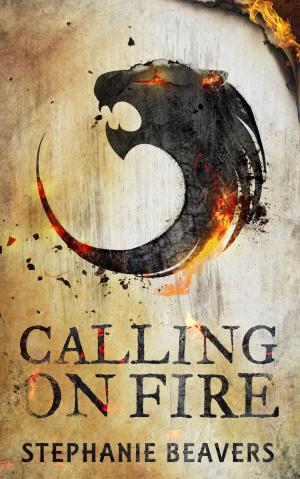 bigCover of the book Calling On Fire by 