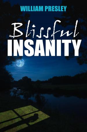 bigCover of the book Blissful Insanity by 