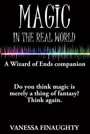 Cover of Magic in the Real World: A Wizard of Ends companion