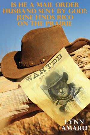 Cover of the book Is He A Mail Order Husband Sent By God?: June Finds Rico On The Prairie by Vanessa Carvo