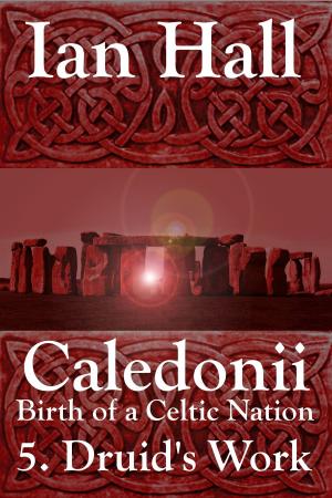 Cover of the book Caledonii: Birth of a Celtic Nation. 5. A Druid's Work by Dennis E. Smirl, Ian Hall