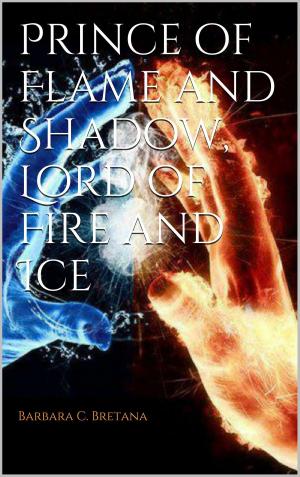 Cover of the book Prince of Flame and Shadow, Lord of Fire and Ice by Barbara Bretana