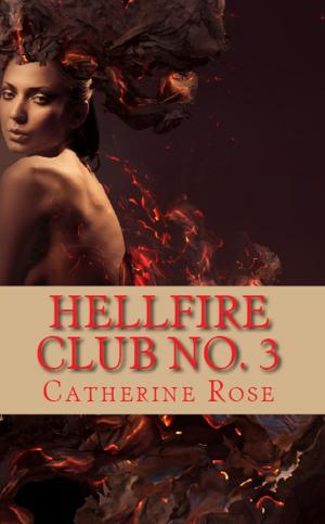 Cover of the book Hellfire Club No. 3: From the Hidden Archives by Aerith L.