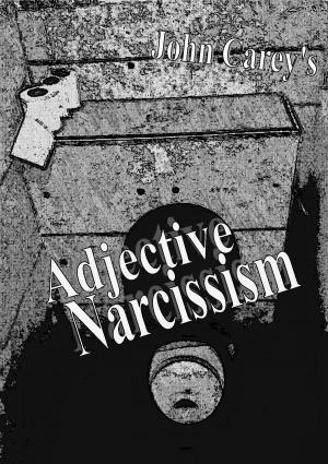 Cover of the book Adjective Narcissism by David Duane Kummer