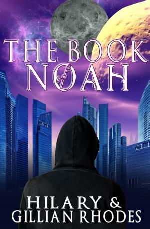 Book cover of The Book of Noah