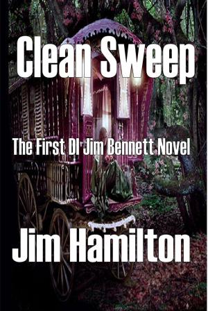 Cover of the book Clean Sweep by James Pattillo